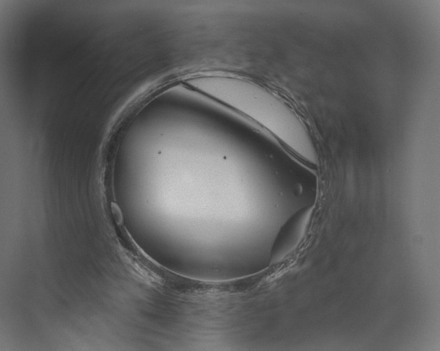 X0000073850197200609071616