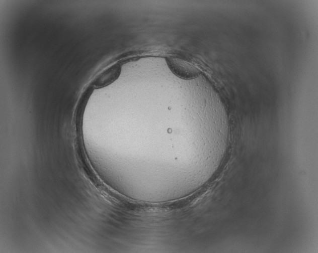 X0000073850198200609071616