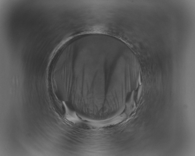 X0000073850200200609071616