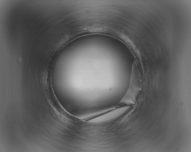 X0000073850201200609071616