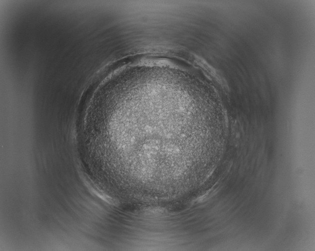 X0000073850203200609071616