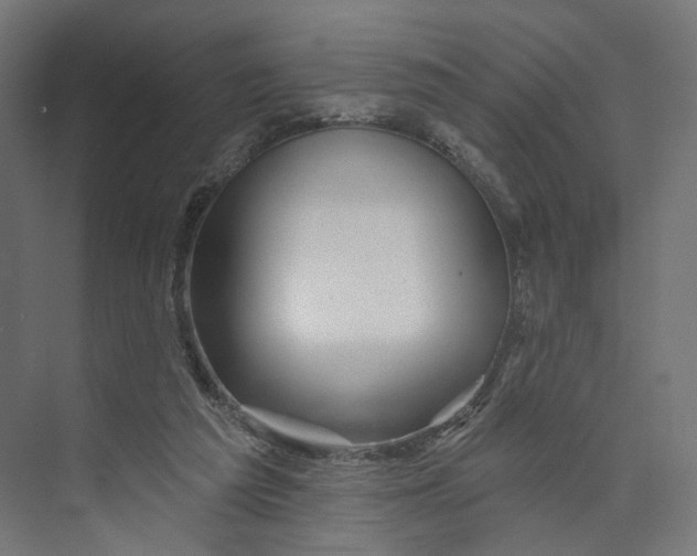 X0000073850209200609071616