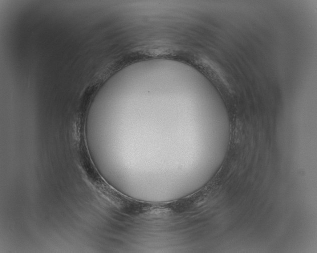 X0000073850210200609071616