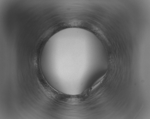 X0000073850212200609071615