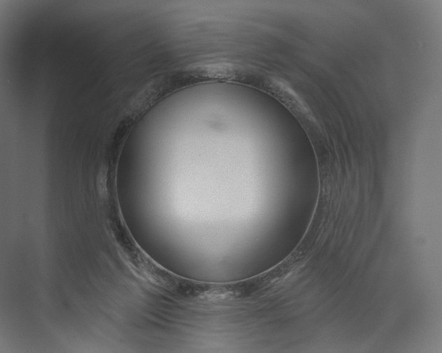 X0000073850213200609071615