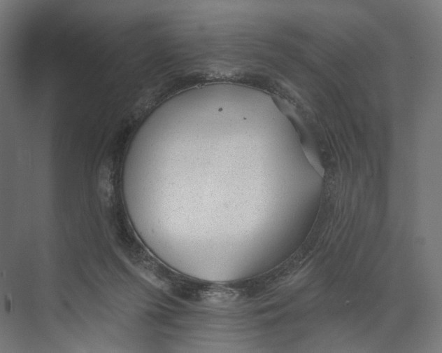 X0000073850215200609071615