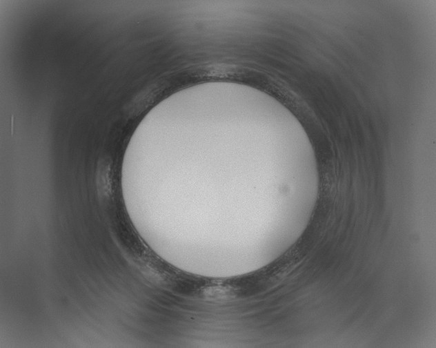 X0000073850216200609071615