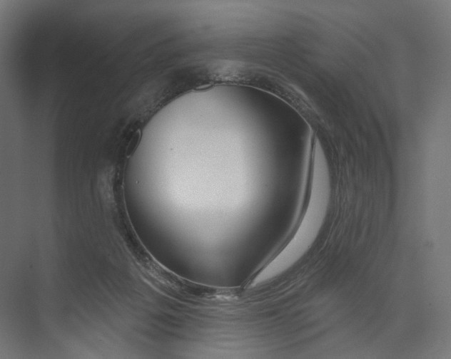 X0000073850217200609071615