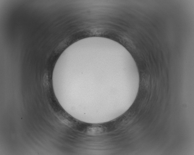 X0000073850220200609071615