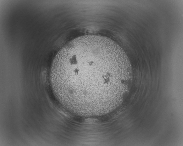 X0000073850222200609071615