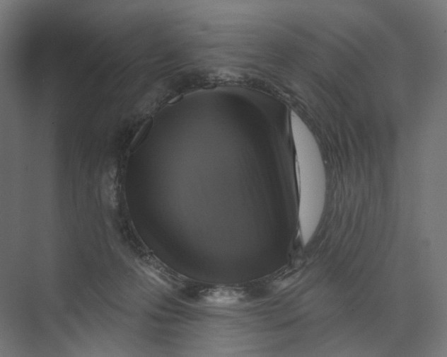 X0000073850223200609071615