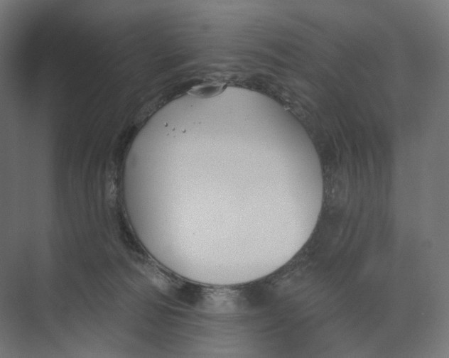 X0000073850226200609071615