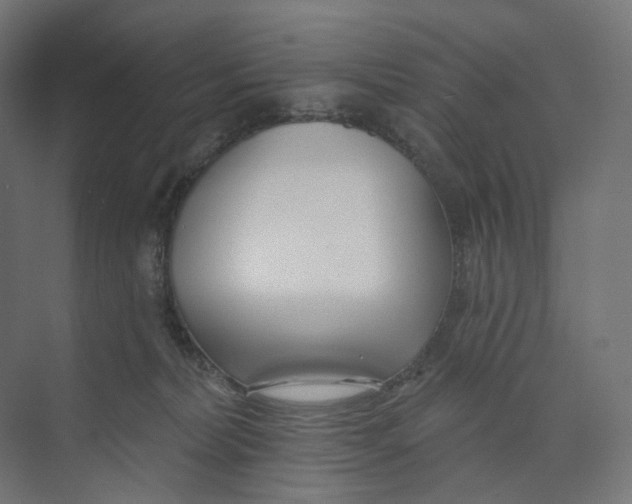 X0000073850228200609071615