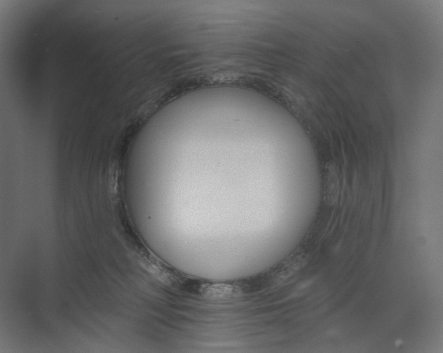 X0000073850230200609071615