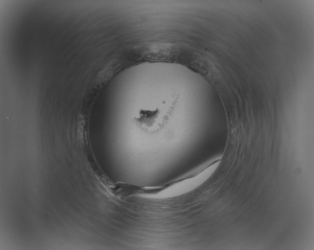 X0000073850231200609071615