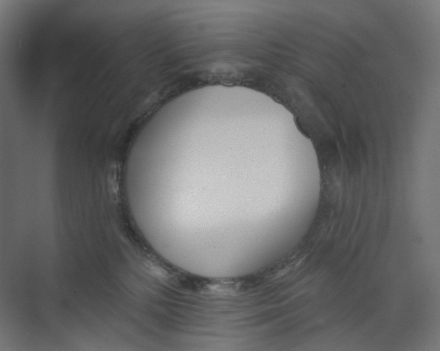 X0000073850232200609071615