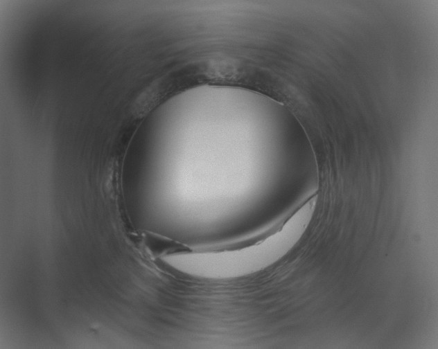 X0000073850233200609071615