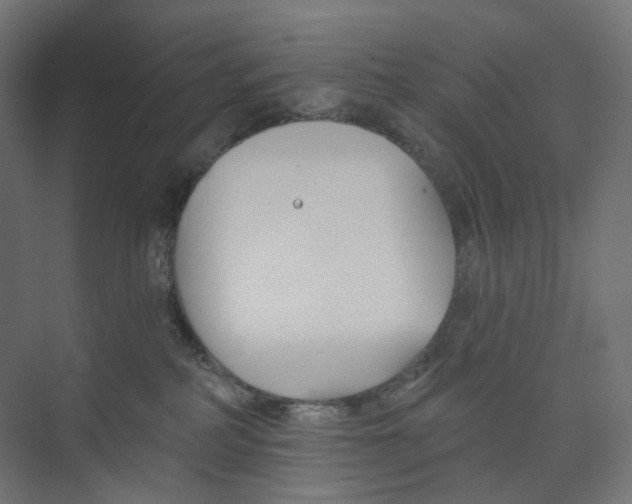 X0000073850234200609071615