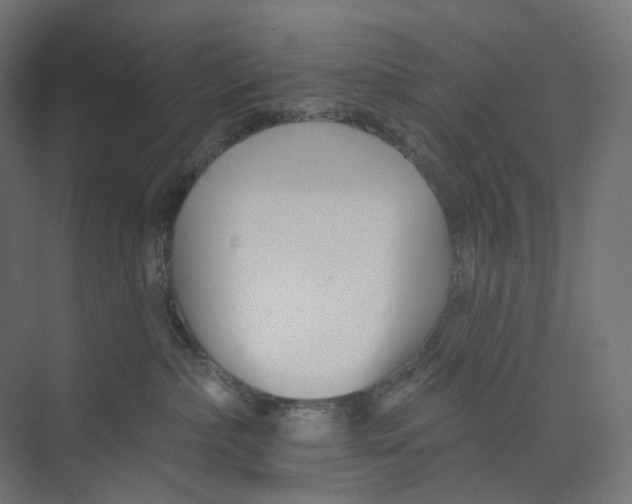 X0000073850236200609071615