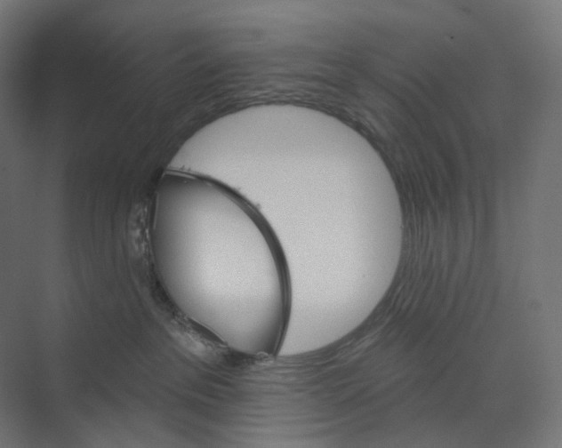 X0000073850237200609071615