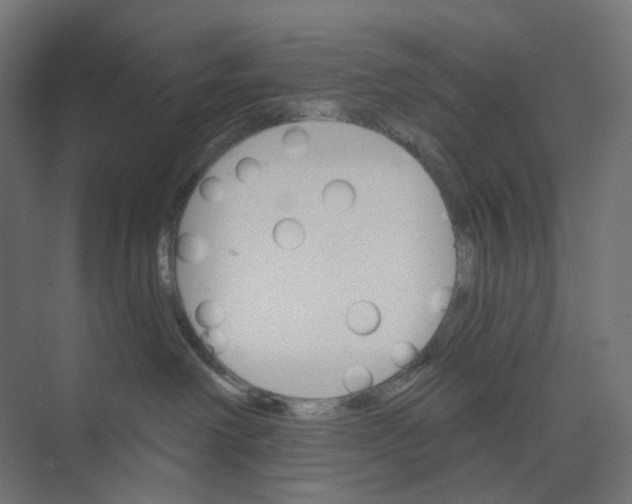 X0000073850238200609071615