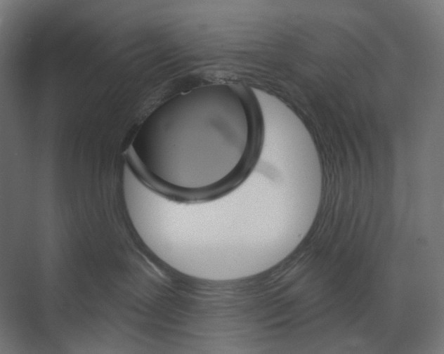 X0000073850239200609071615