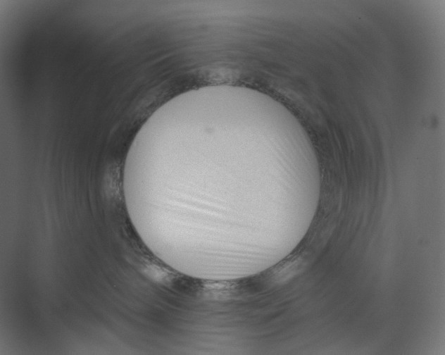 X0000073850240200609071615