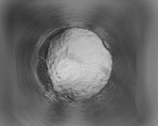 X0000073850241200609071614