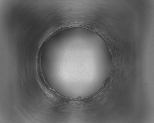 X0000073850242200609071614