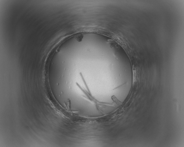 X0000073850243200609071614