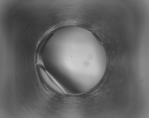 X0000073850244200609071614