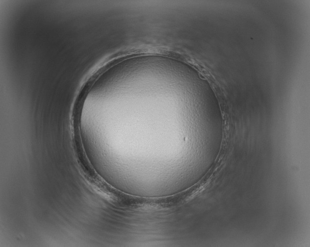 X0000073850246200609071614