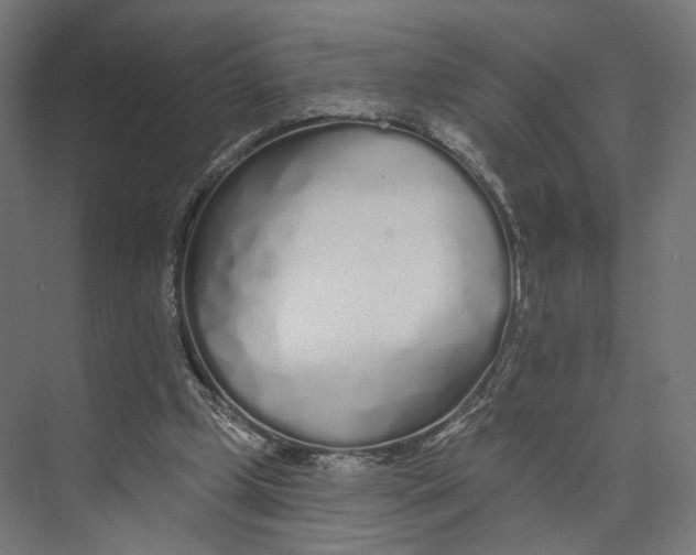 X0000073850249200609071614