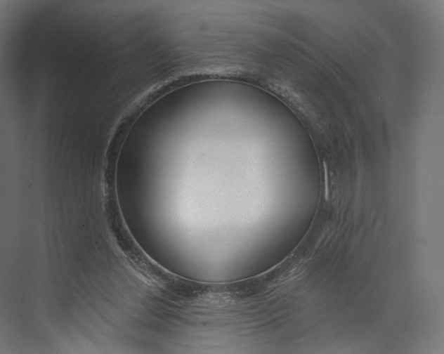 X0000073850252200609071614