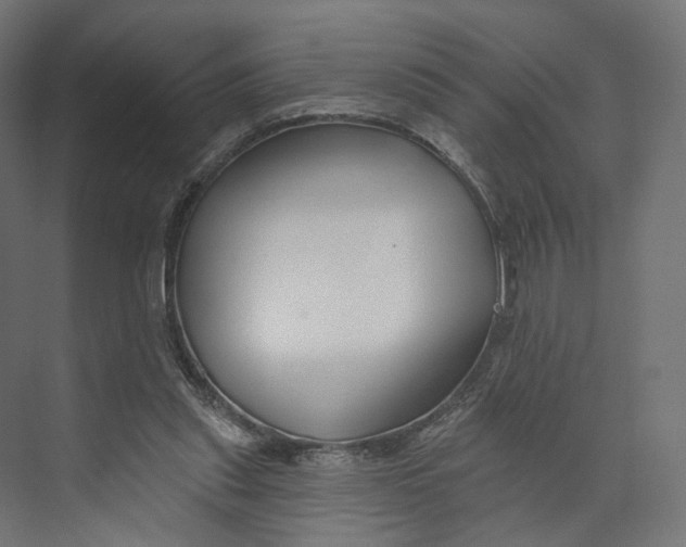 X0000073850253200609071614