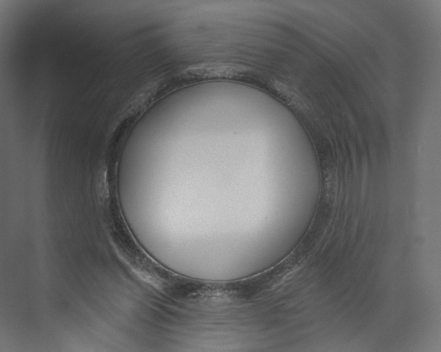 X0000073850254200609071614