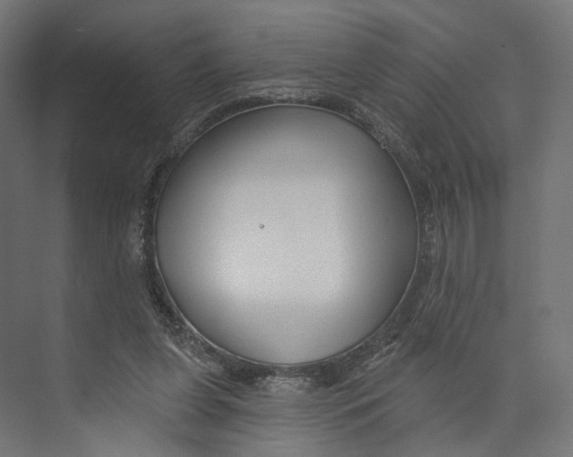 X0000073850255200609071614