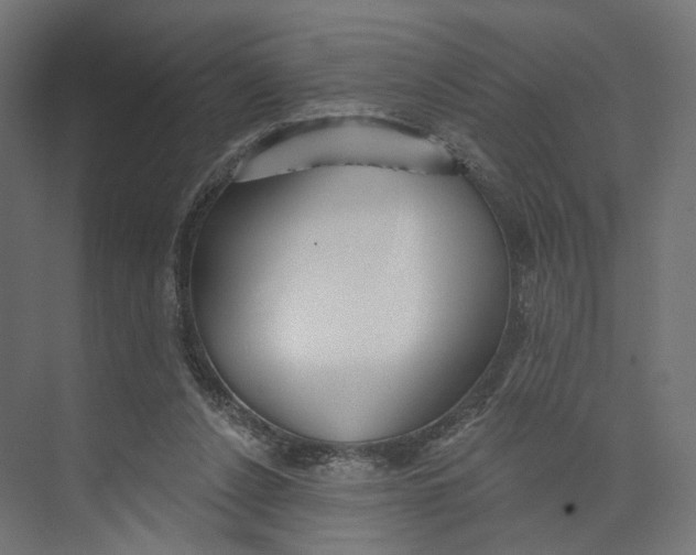 X0000073850256200609071614