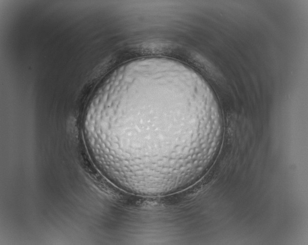 X0000073850258200609071614