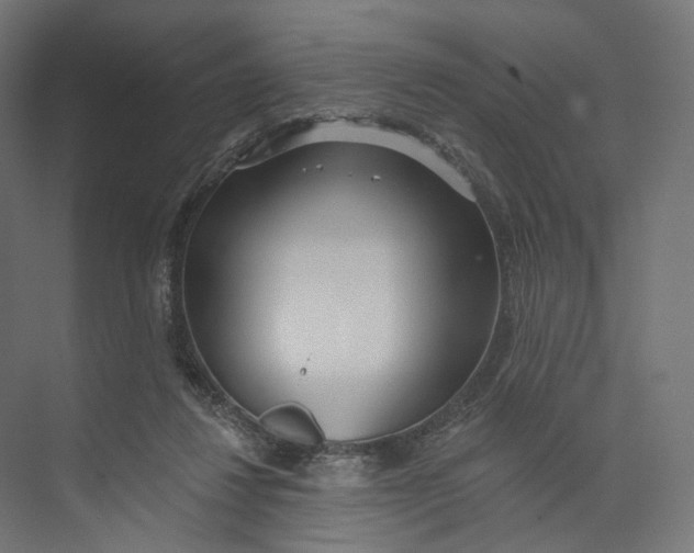 X0000073850260200609071615