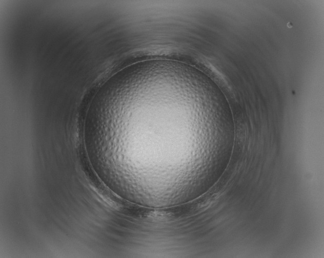 X0000073850261200609071615