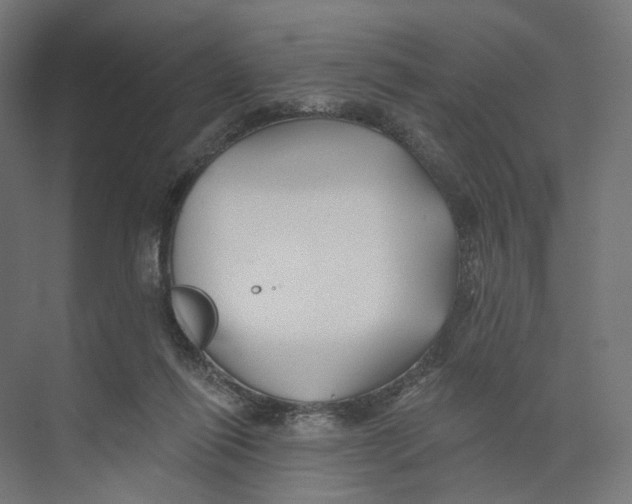 X0000073850262200609071615