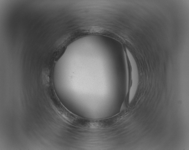 X0000073850264200609071615