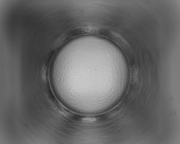 X0000073850266200609071615