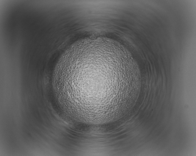 X0000073850268200609071615