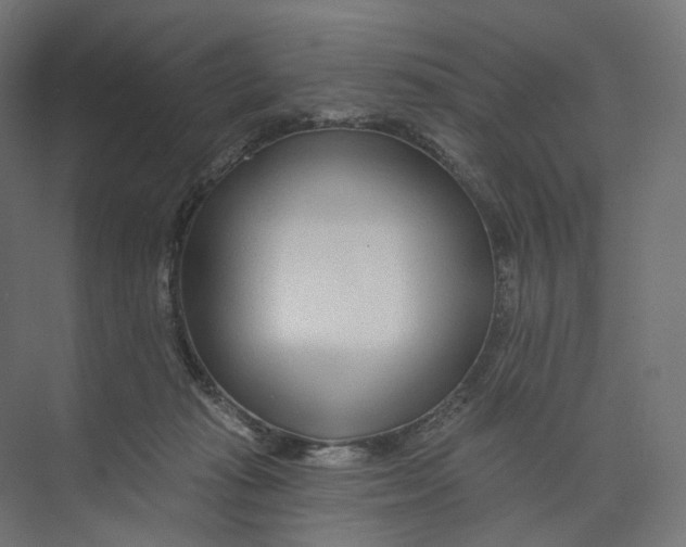 X0000073850269200609071615