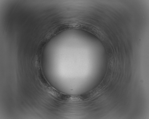 X0000073850270200609071615