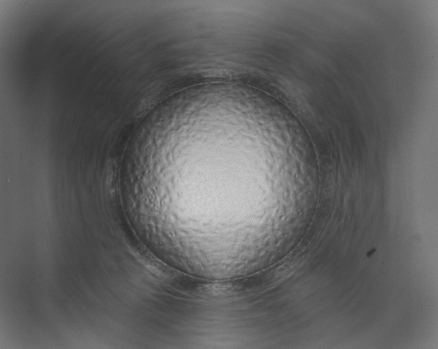 X0000073850273200609071615