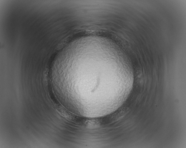 X0000073850275200609071615