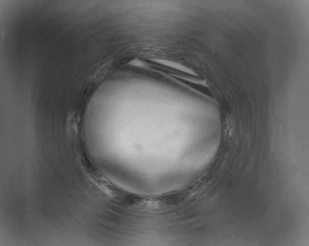 X0000073850276200609071615